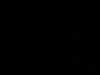 party170.jpg