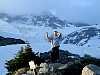 rainier125.jpg