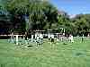 wardsocial1.jpg
