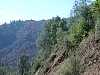 yosemite155.jpg