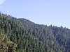 yosemite158.jpg
