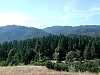 yosemite170.jpg