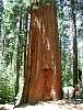 yosemite90.jpg